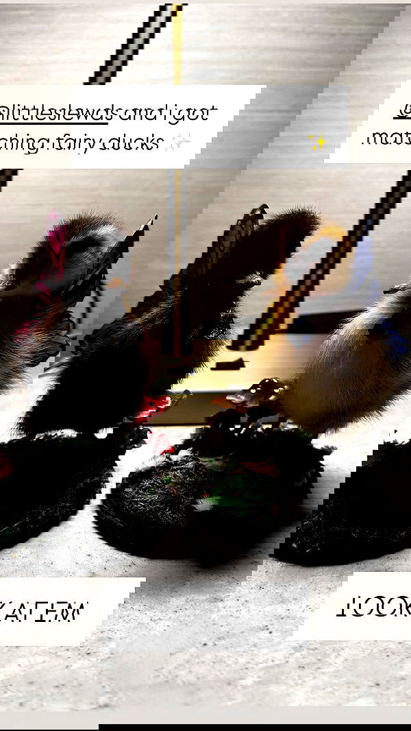 iamm3dusa image ~ Altpins