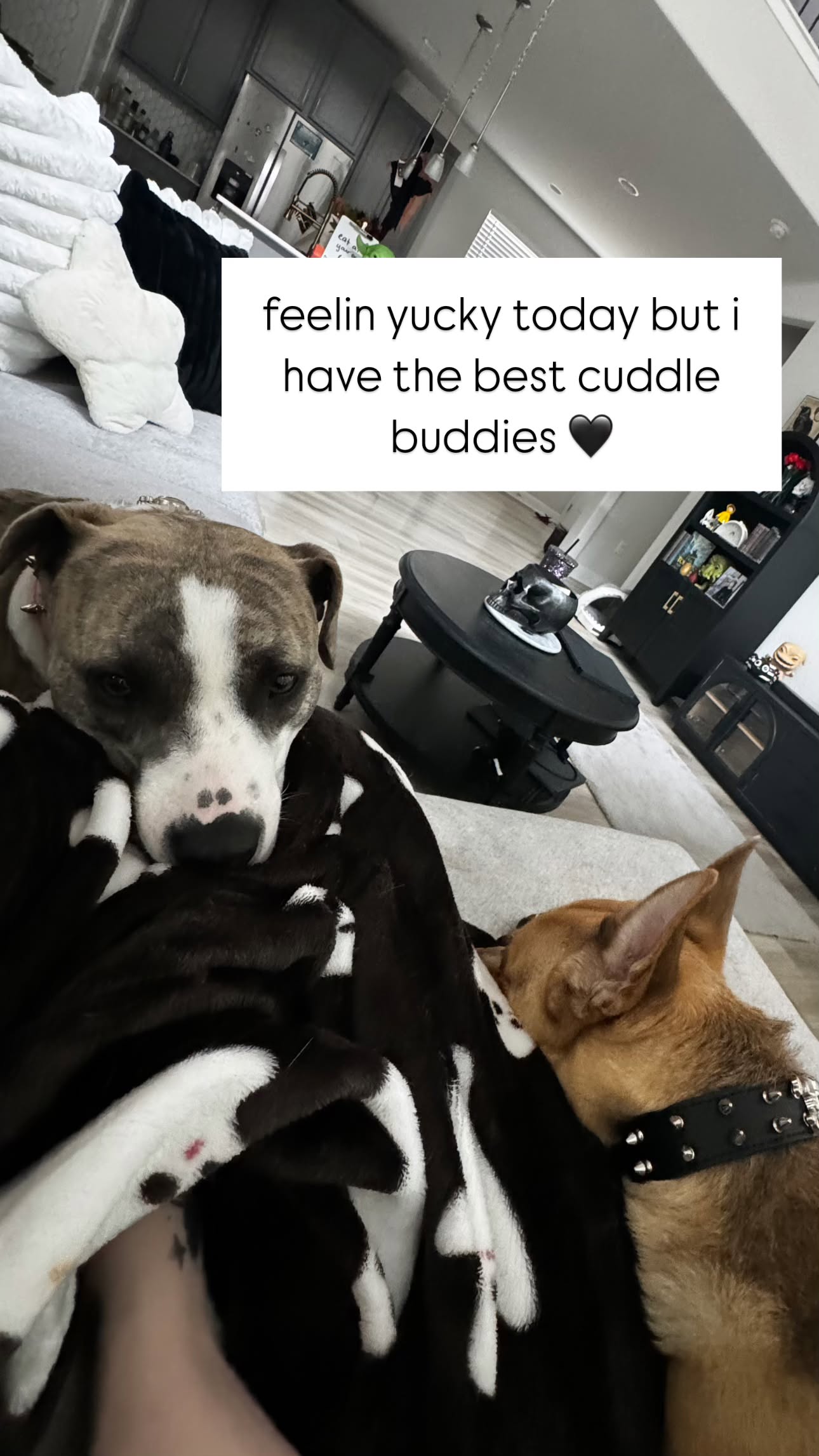 iamm3dusa instagram image archive image