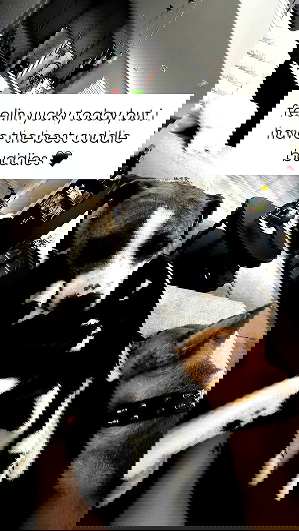 iamm3dusa image ~ Altpins