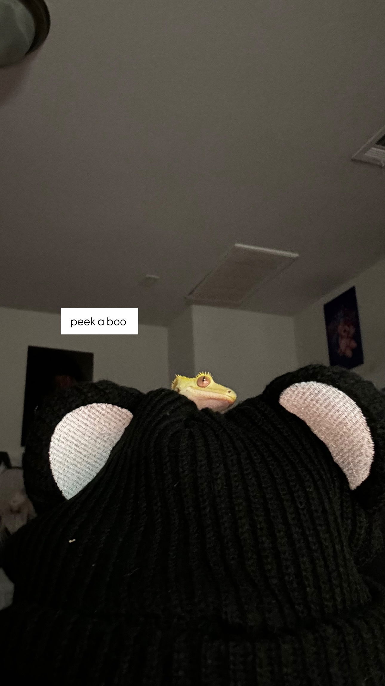 iamm3dusa instagram image archive image