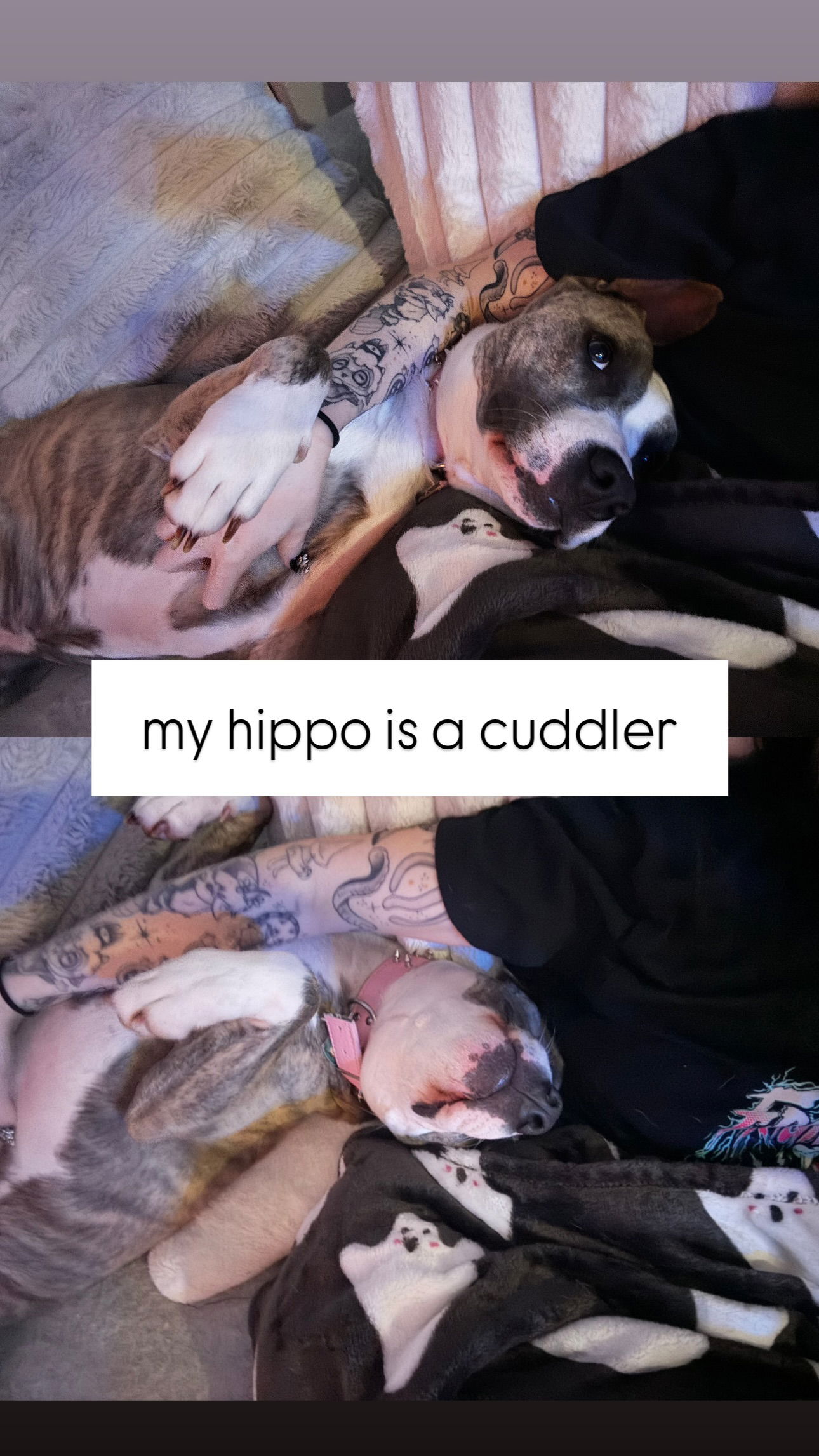 iamm3dusa instagram image archive image