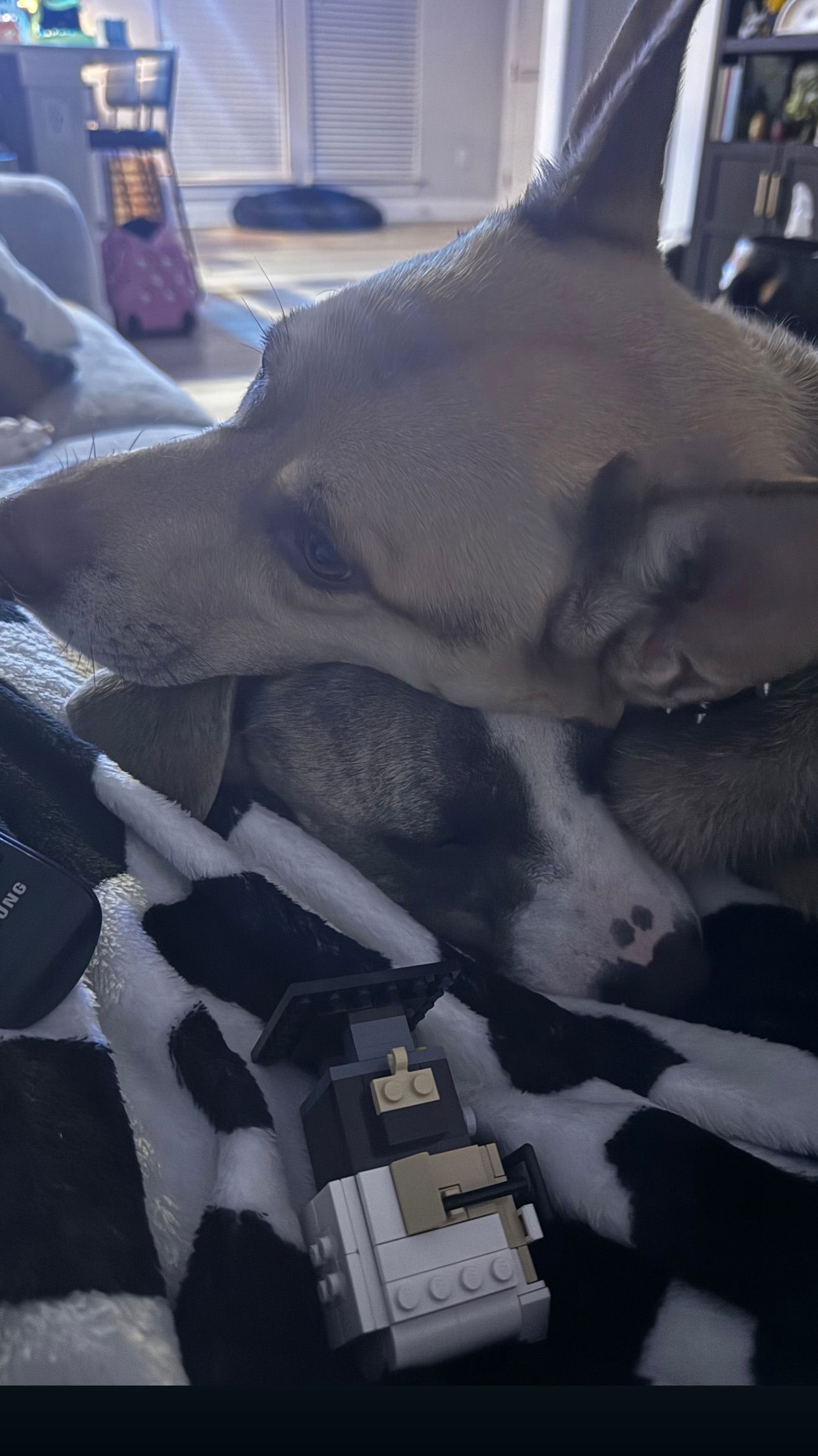 iamm3dusa instagram image archive image