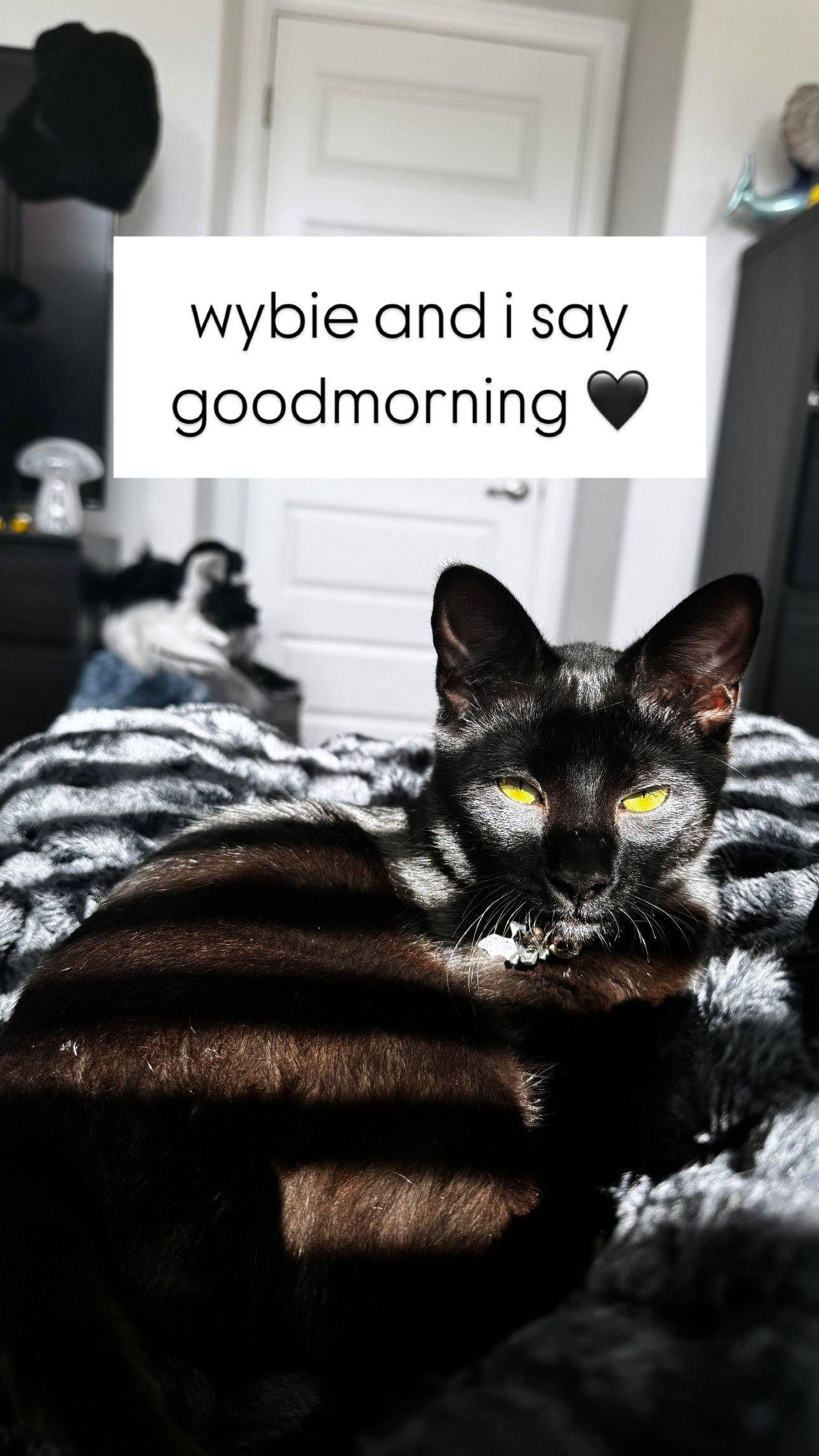 iamm3dusa instagram image archive image