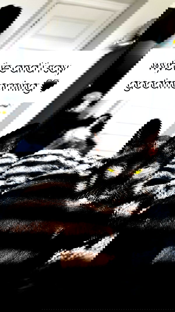 iamm3dusa image ~ Altpins