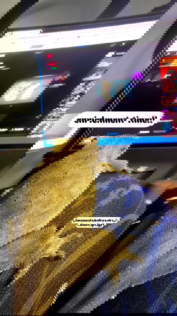 iamm3dusa image ~ Altpins