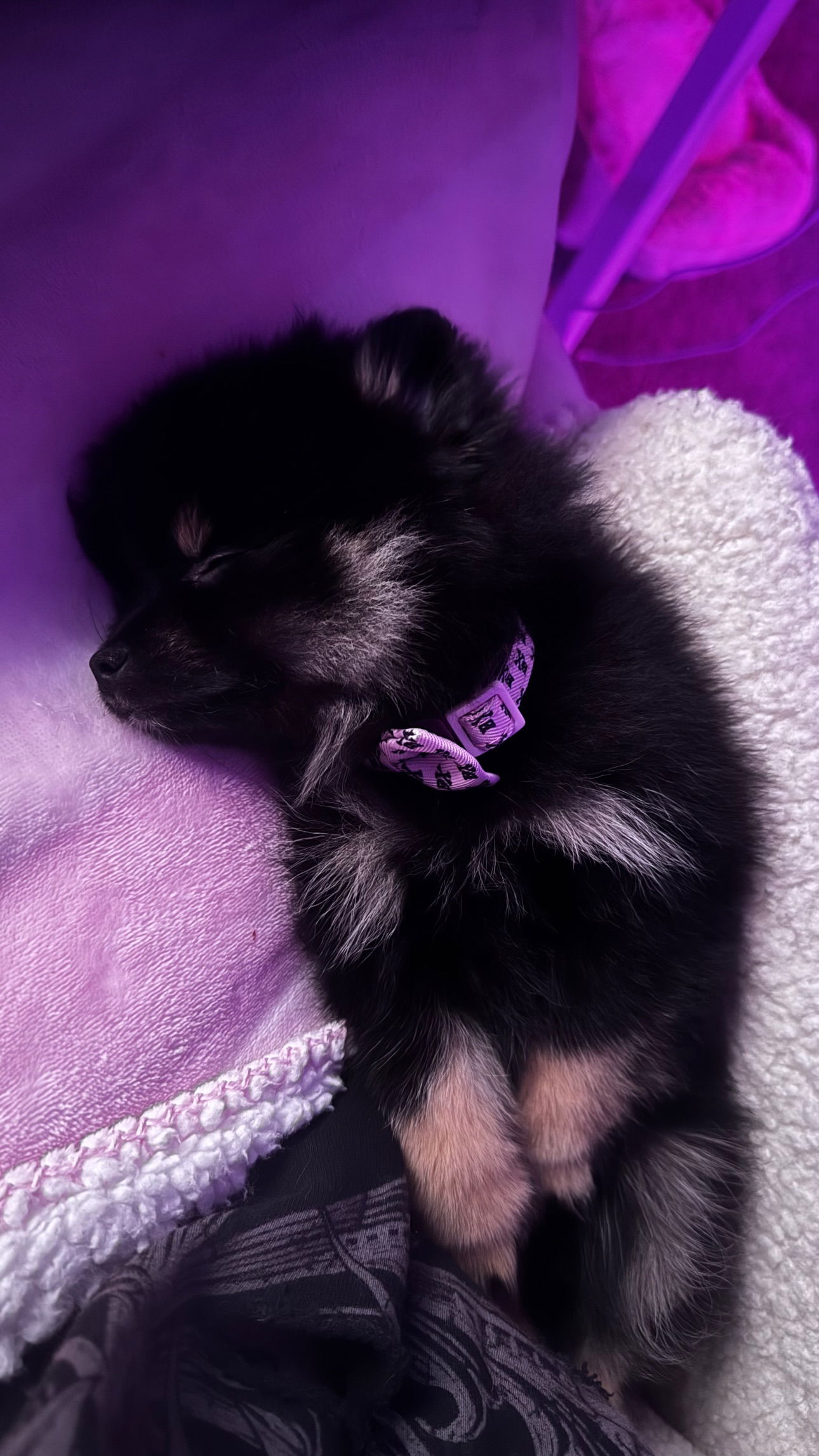 iamm3dusa instagram image archive image