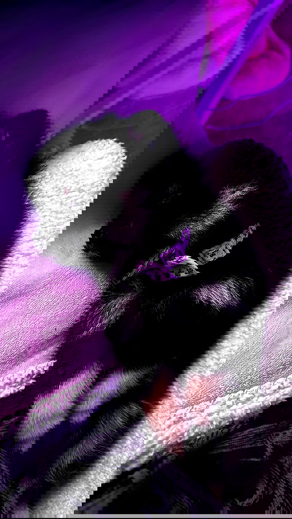 iamm3dusa image ~ Altpins