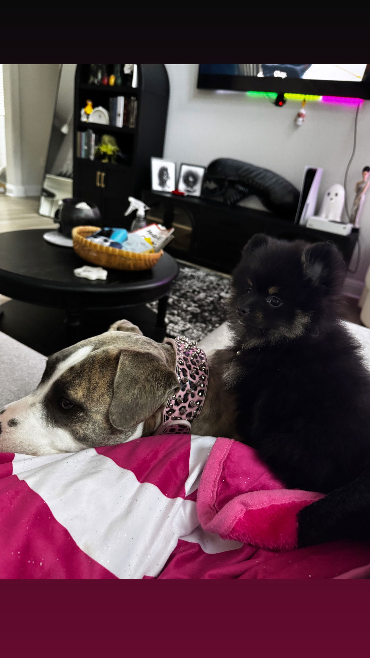 iamm3dusa instagram image archive image