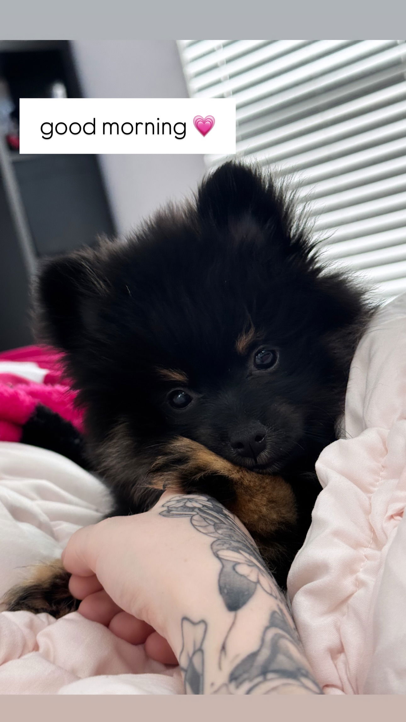 iamm3dusa instagram image archive image