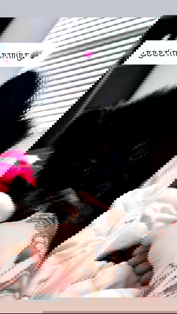 iamm3dusa image ~ Altpins