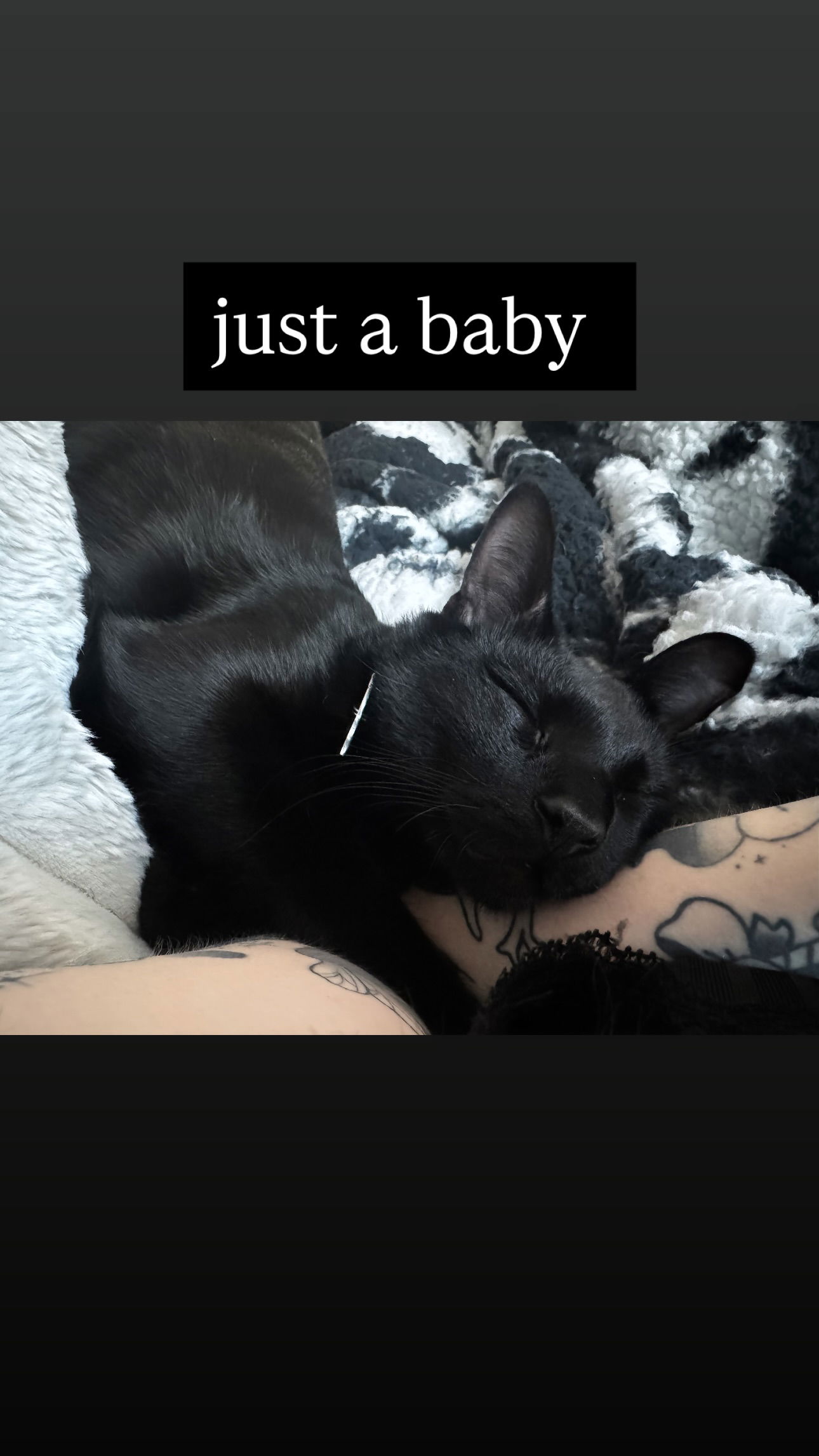 iamm3dusa instagram image archive image