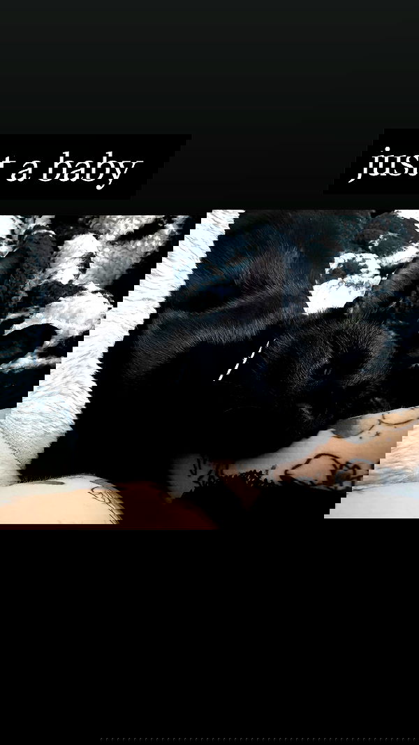 iamm3dusa image ~ Altpins