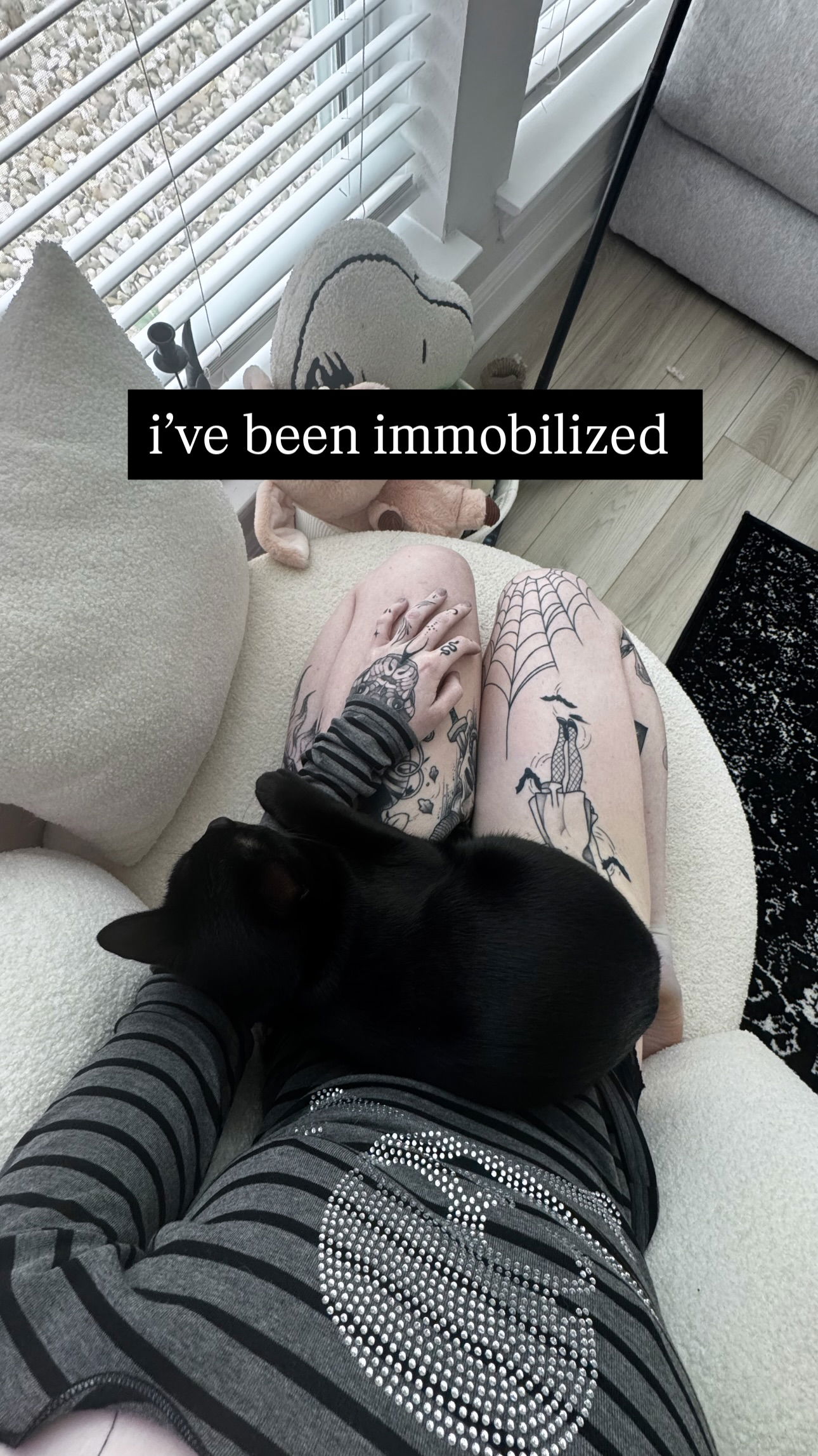 iamm3dusa instagram image archive image