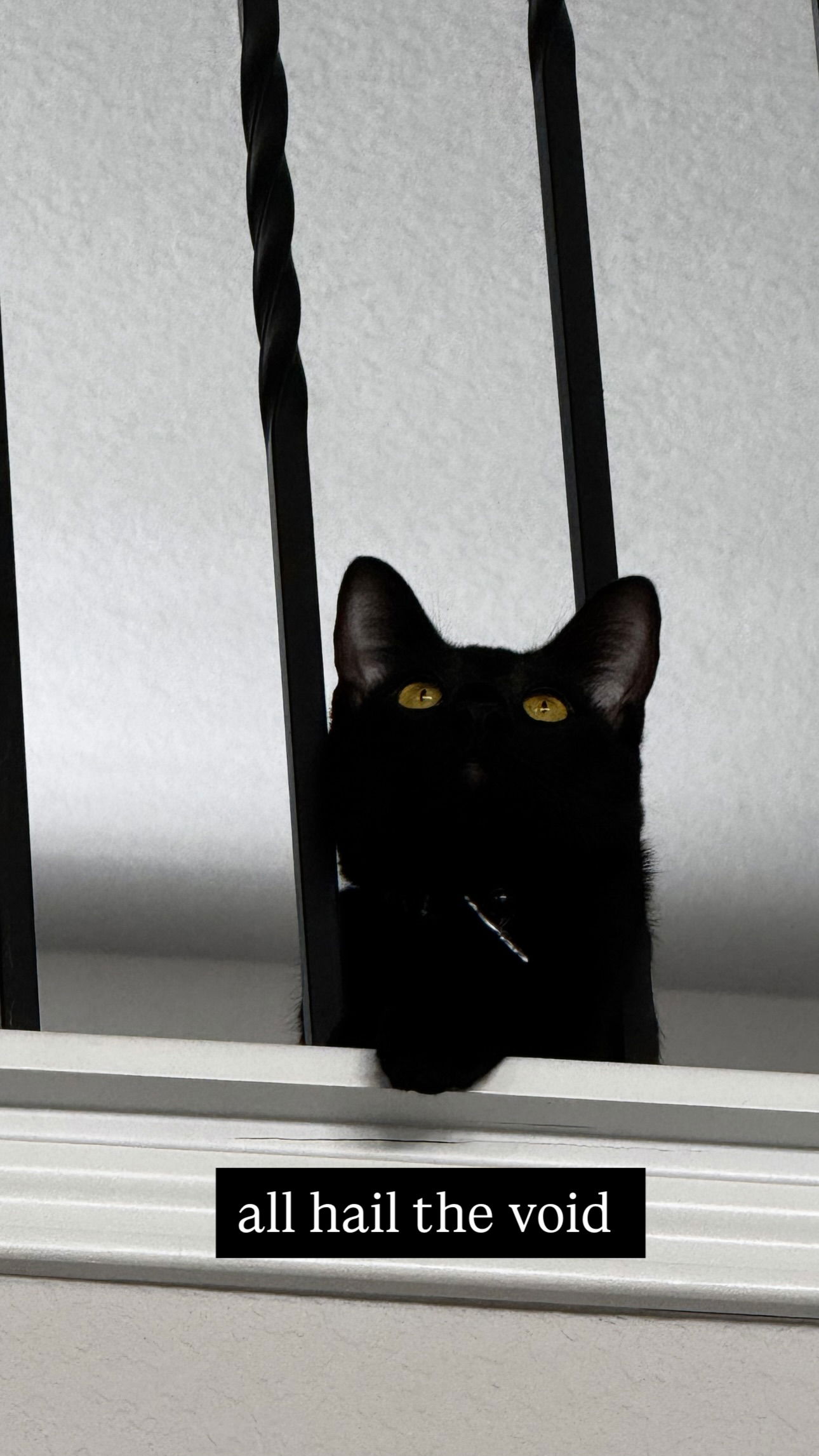 iamm3dusa instagram image archive image