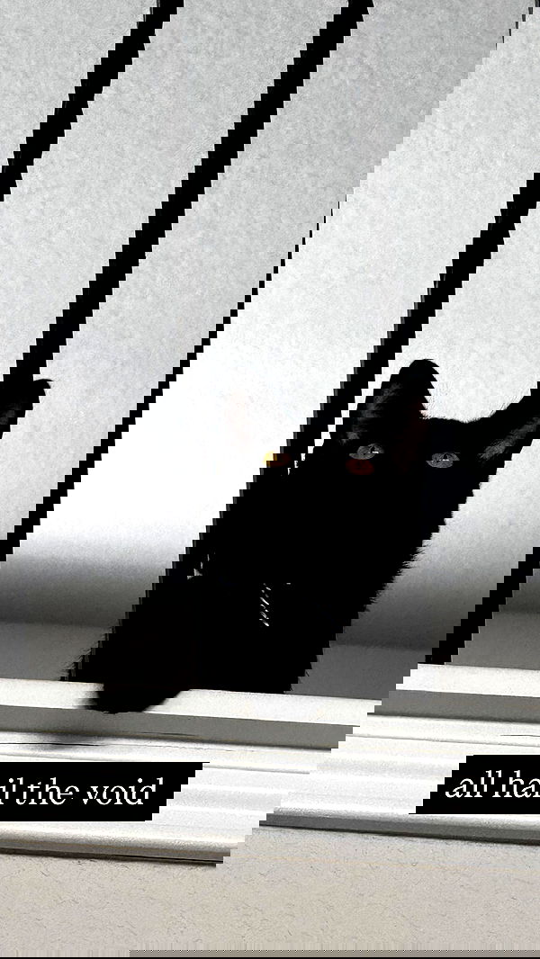 iamm3dusa image ~ Altpins