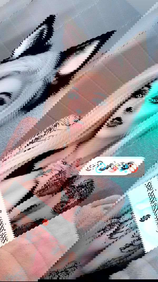 iamm3dusa image ~ Altpins