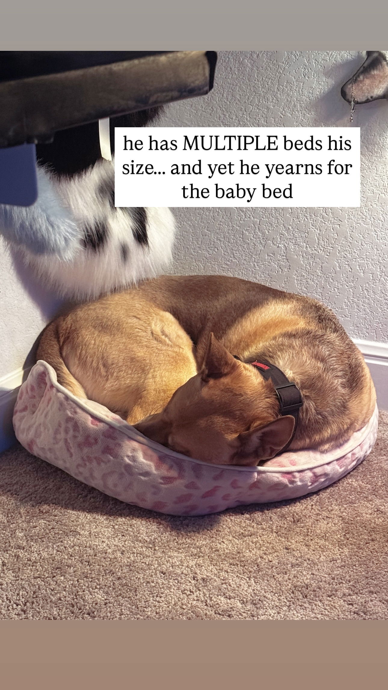 iamm3dusa instagram image archive image