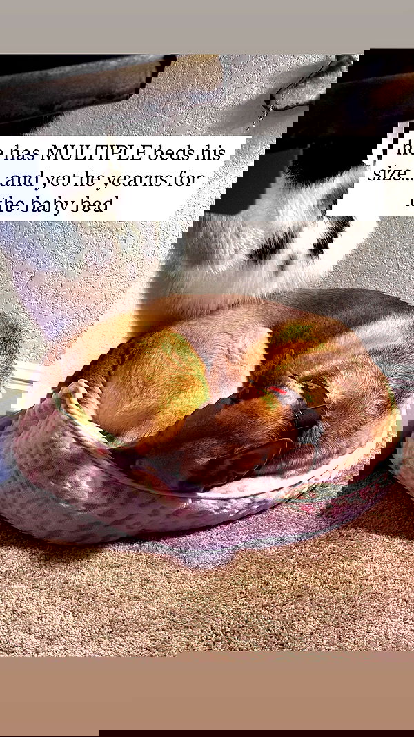 iamm3dusa image ~ Altpins