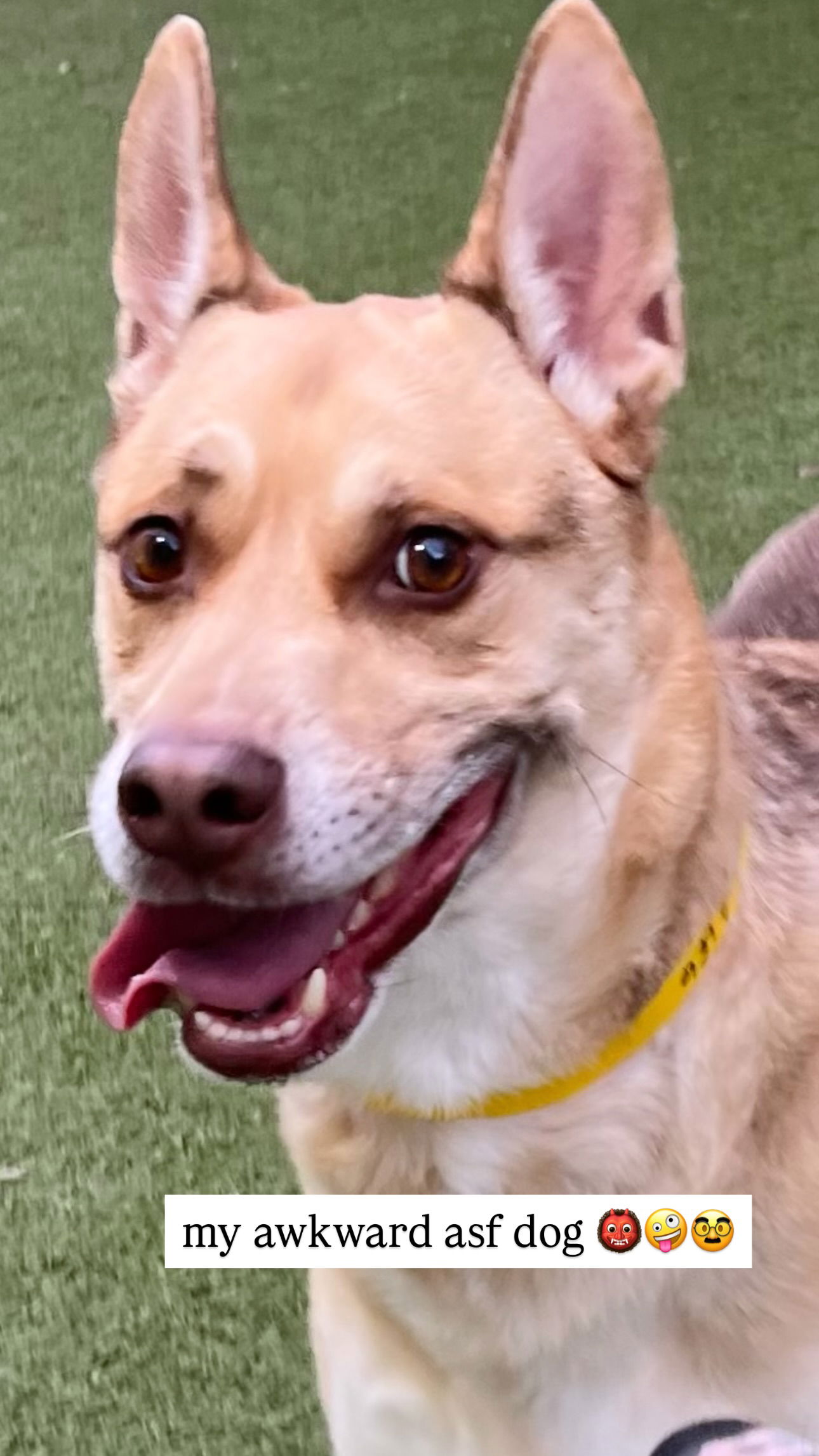 iamm3dusa instagram image archive image