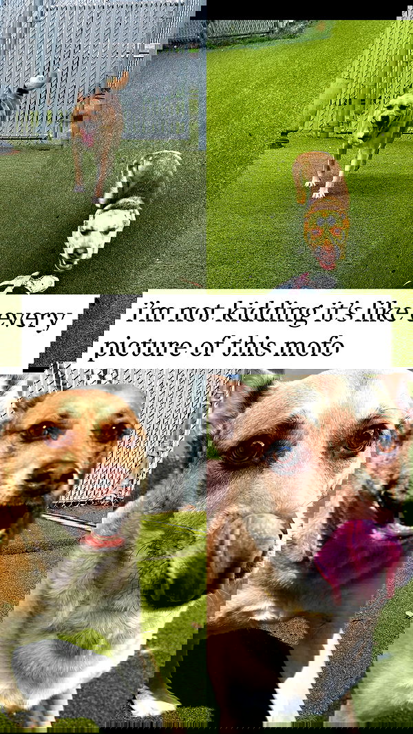 iamm3dusa image ~ Altpins