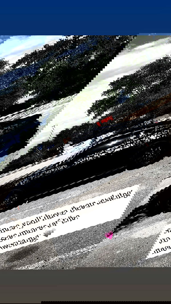 iamm3dusa image ~ Altpins