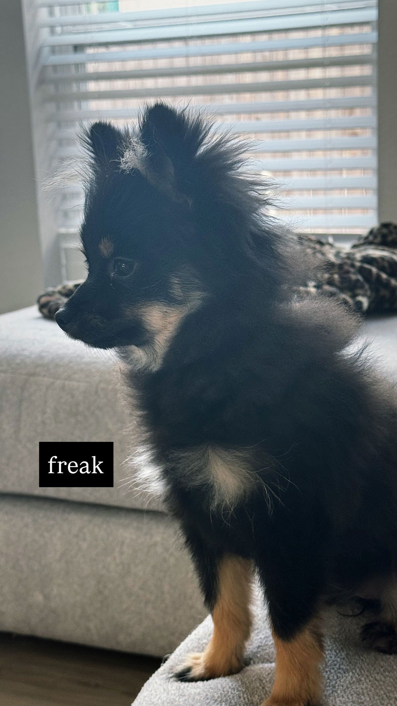 iamm3dusa instagram image archive image