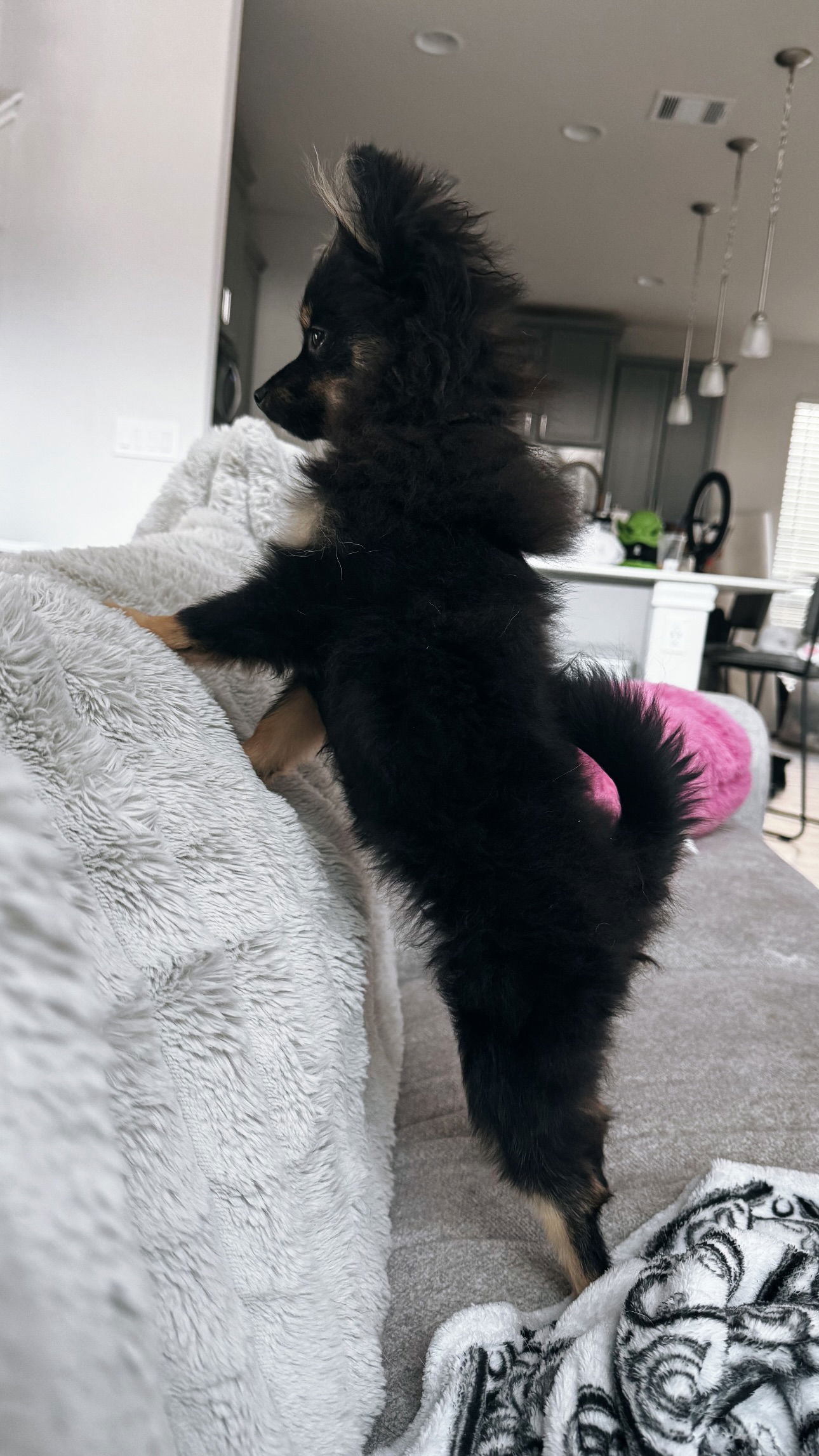 iamm3dusa instagram image archive image