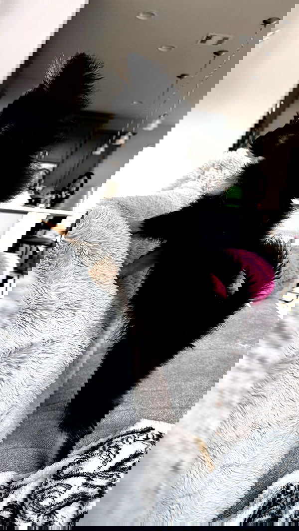 iamm3dusa image ~ Altpins