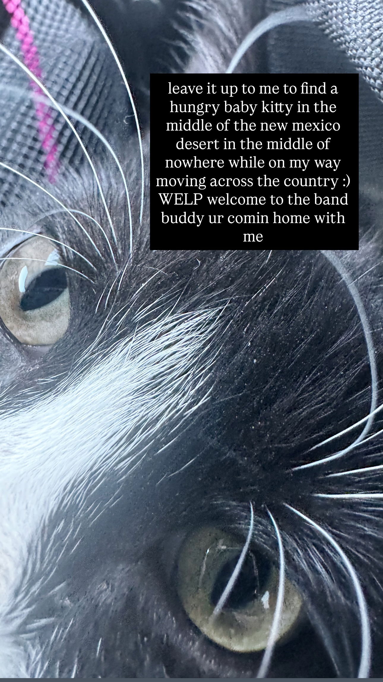 iamm3dusa instagram image archive image