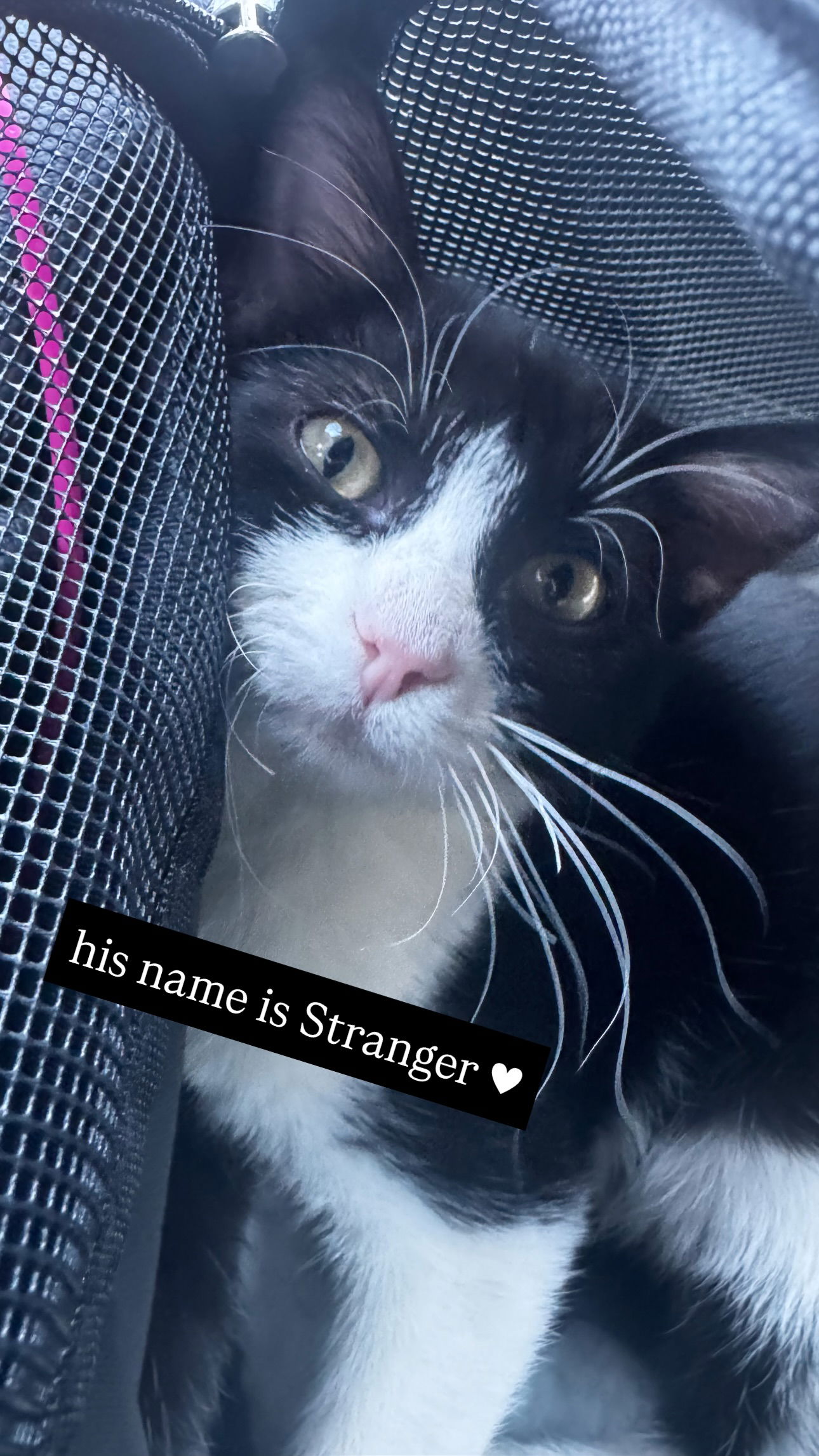 iamm3dusa instagram image archive image