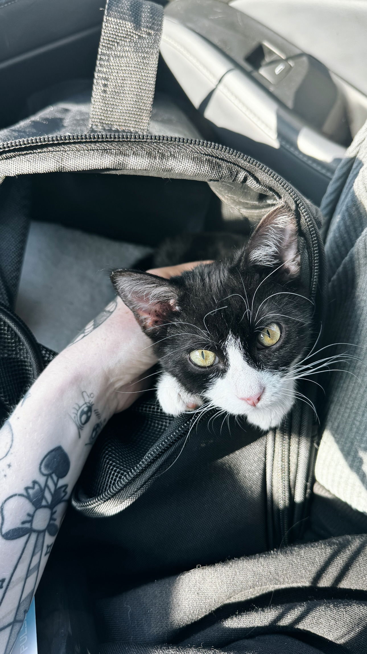 iamm3dusa instagram image archive image