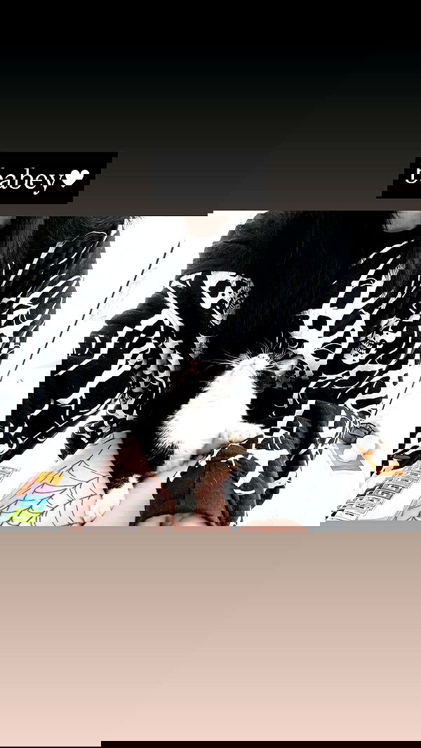 iamm3dusa image ~ Altpins