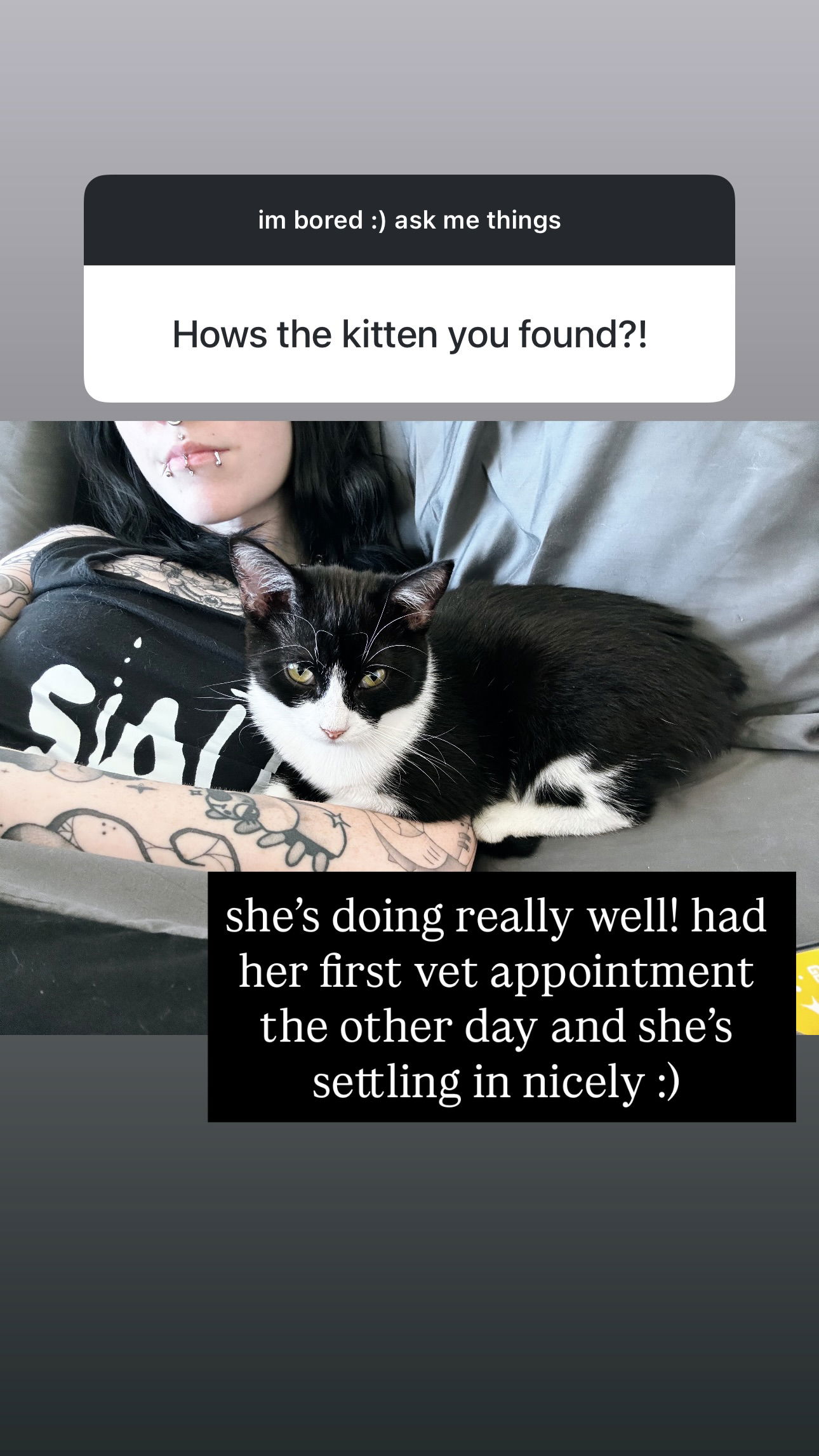 iamm3dusa instagram image archive image