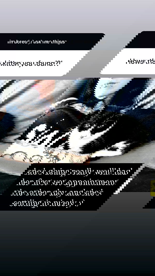 iamm3dusa image ~ Altpins