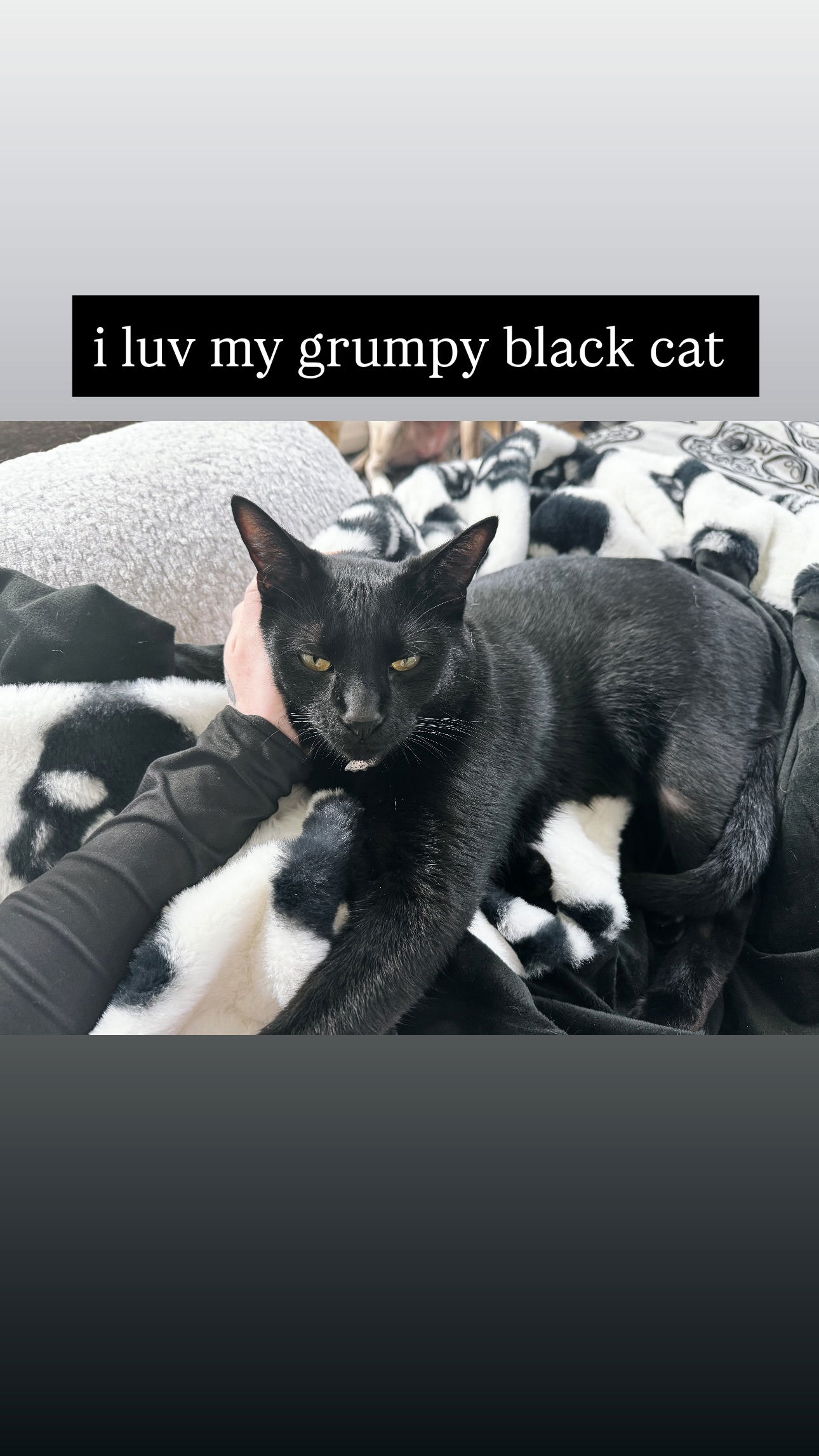 iamm3dusa instagram image archive image