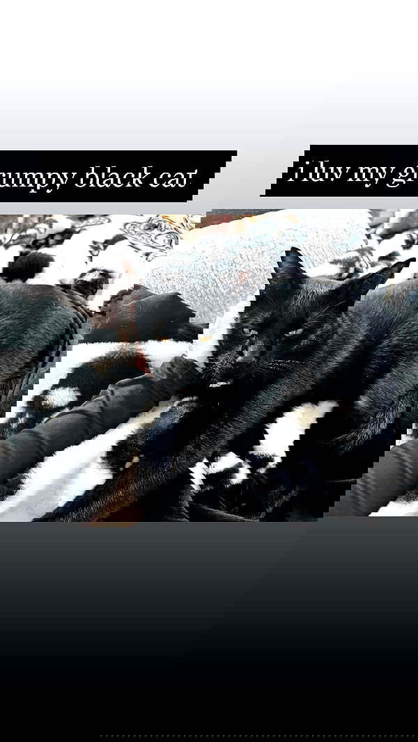 iamm3dusa image ~ Altpins