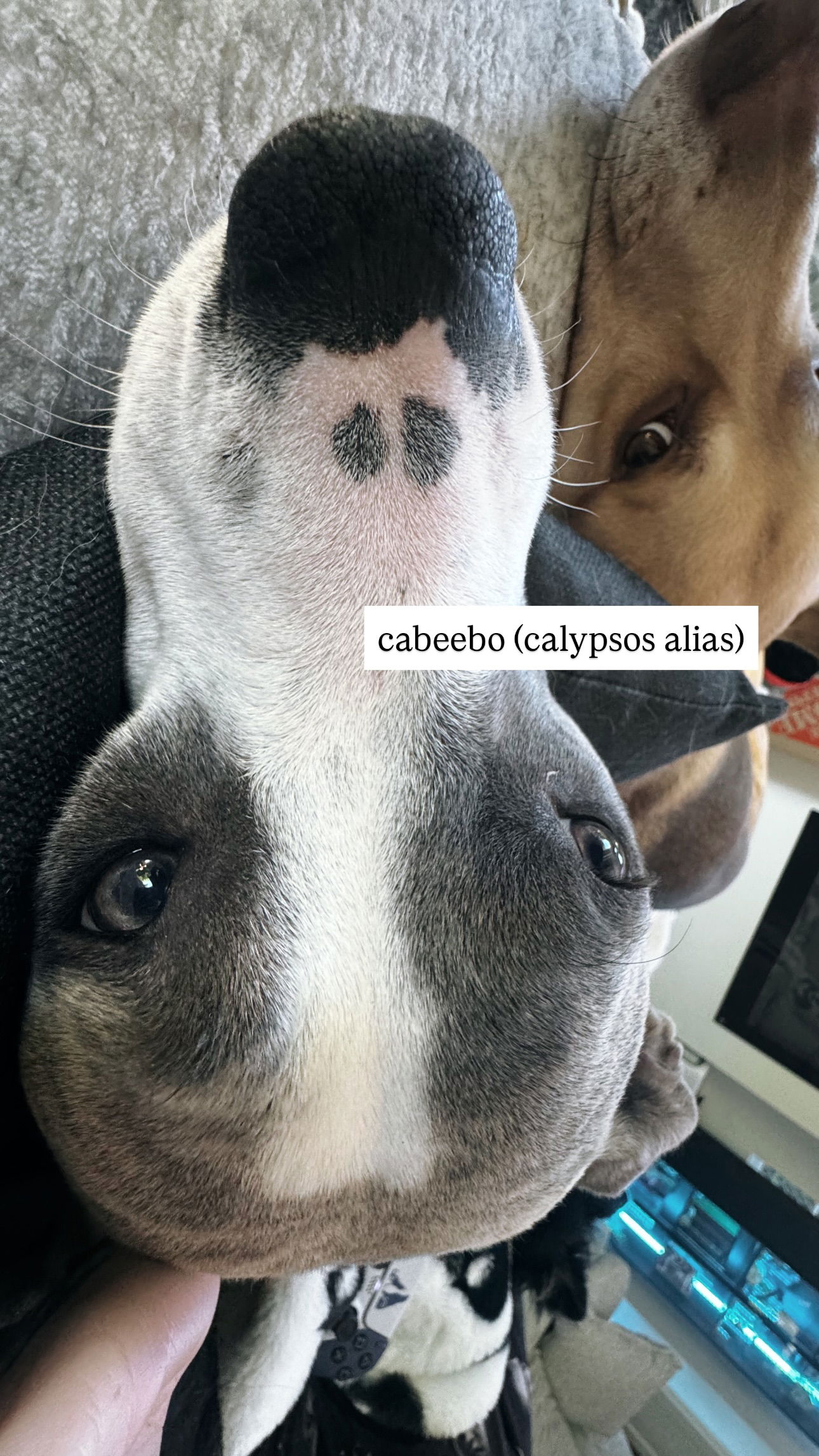 iamm3dusa instagram image archive image