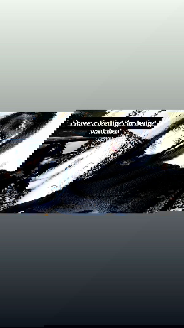 iamm3dusa image ~ Altpins