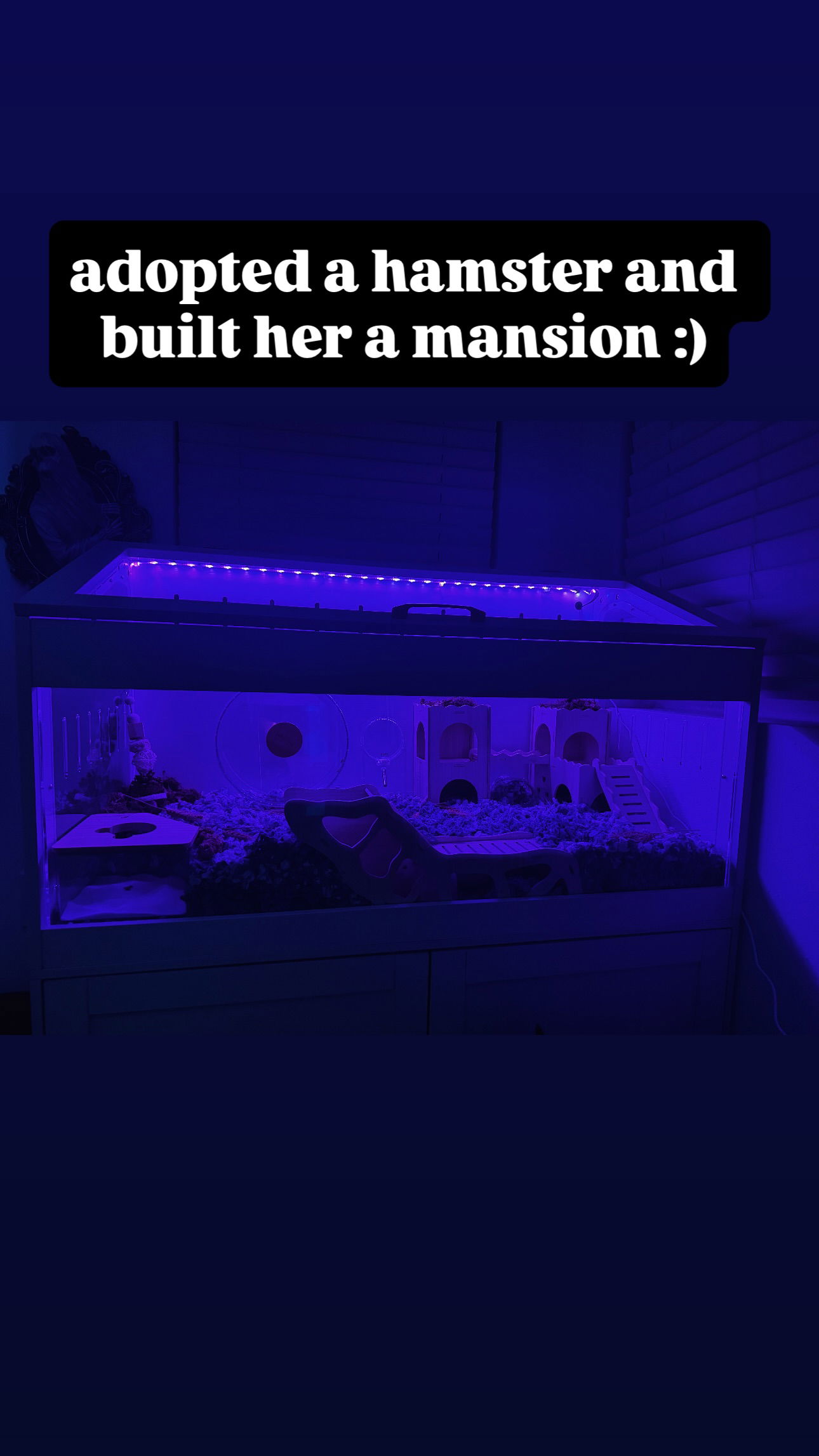 iamm3dusa instagram image archive image