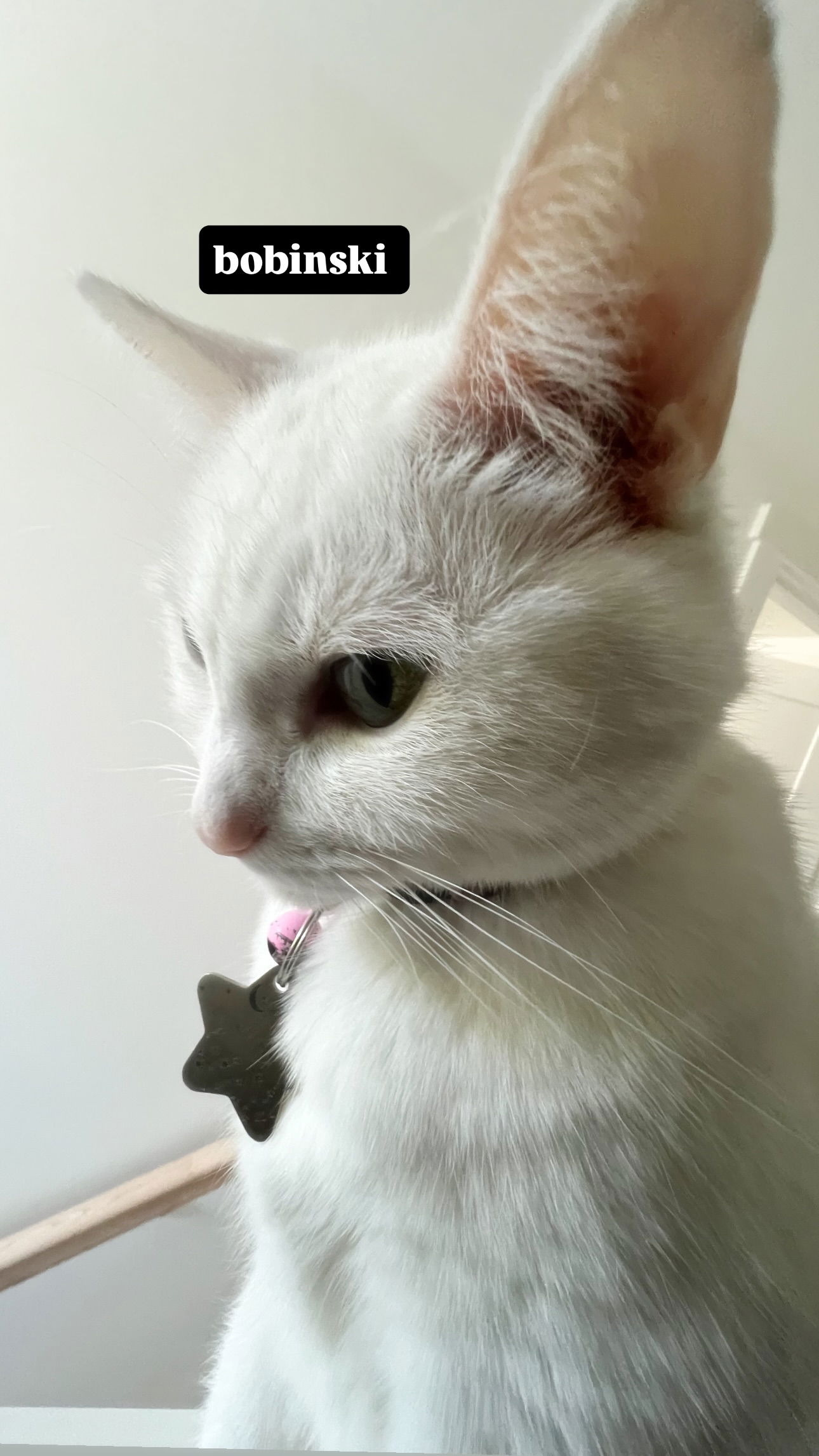 iamm3dusa instagram image archive image