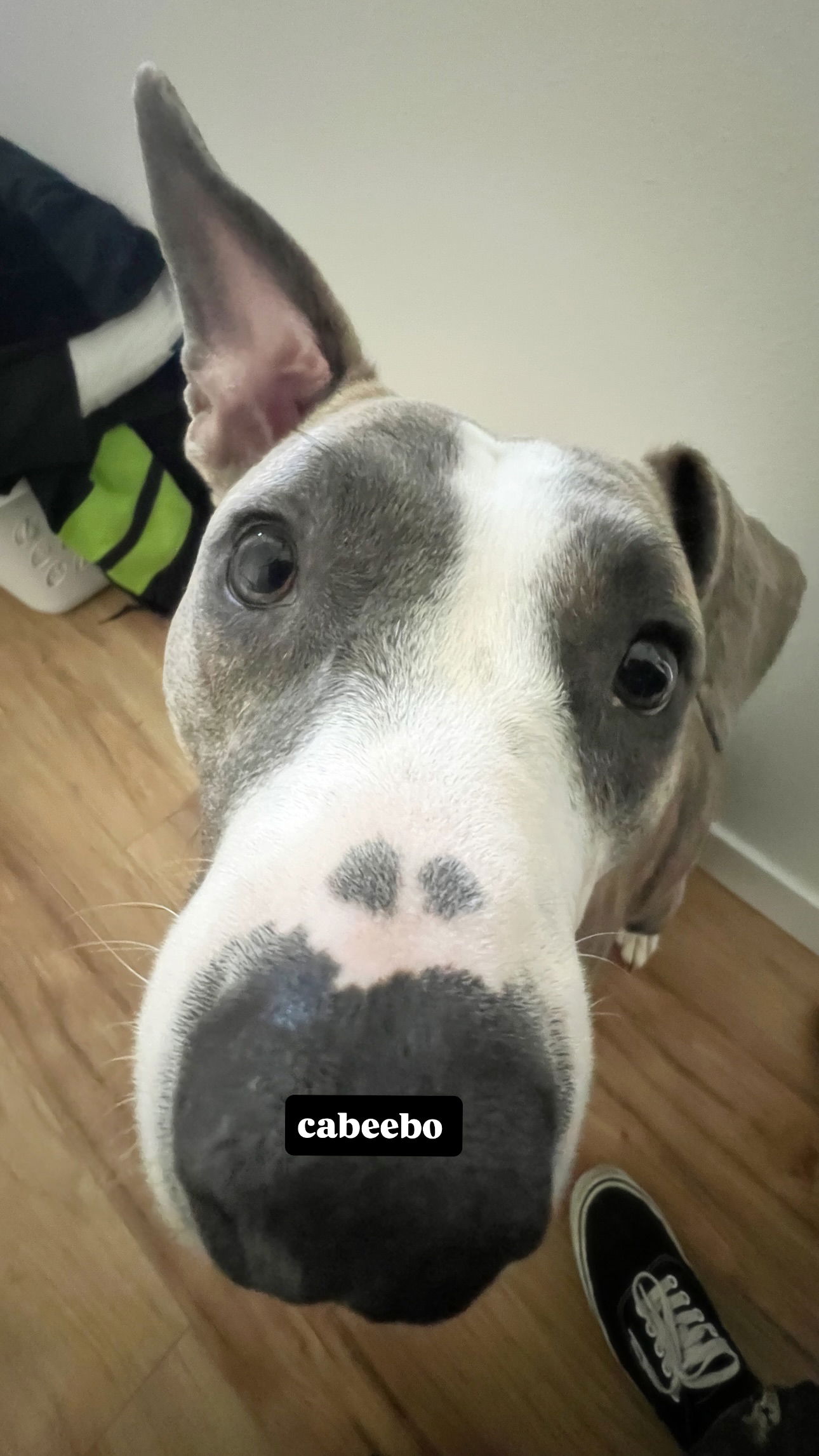 iamm3dusa instagram image archive image