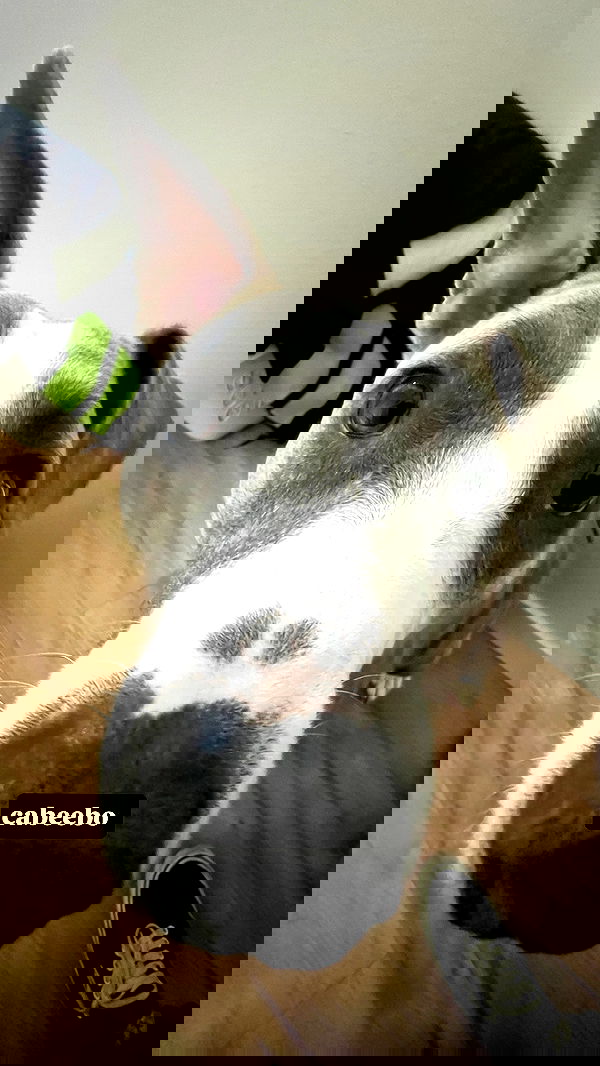 iamm3dusa image ~ Altpins