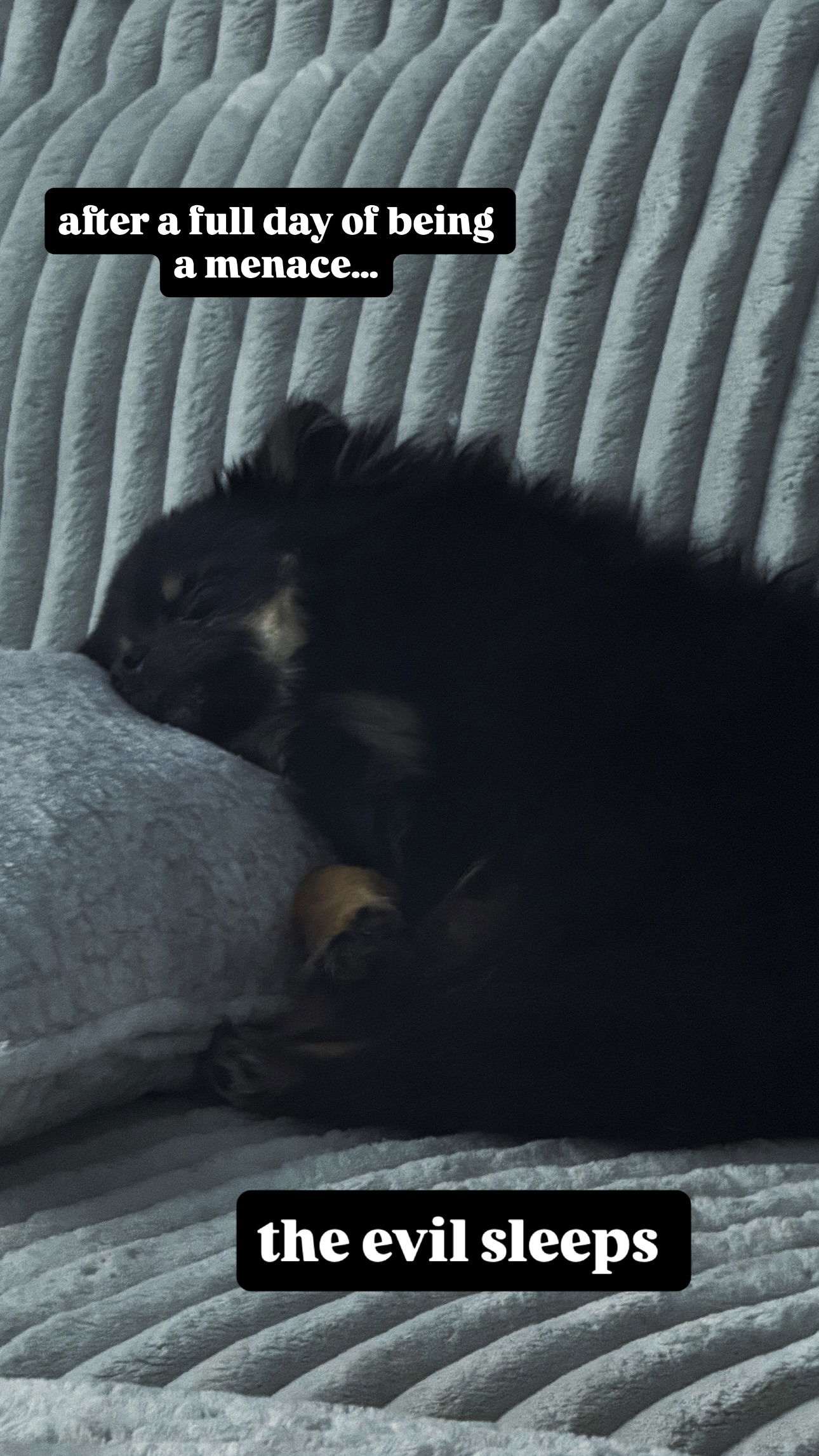 iamm3dusa instagram image archive image