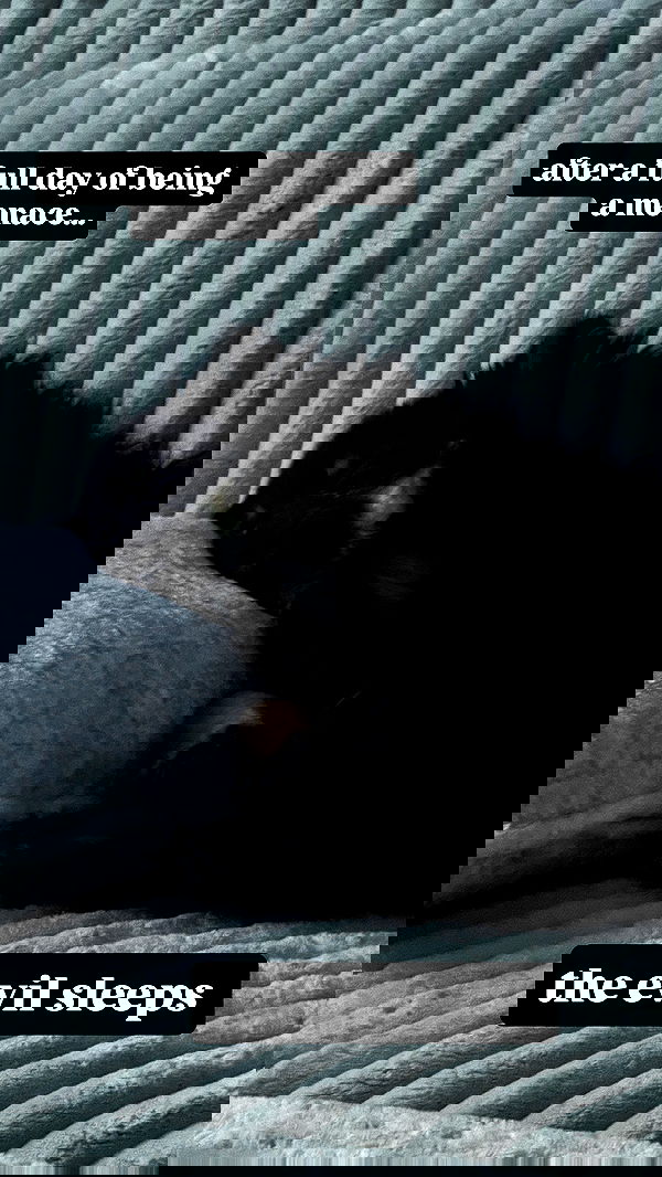 iamm3dusa image ~ Altpins