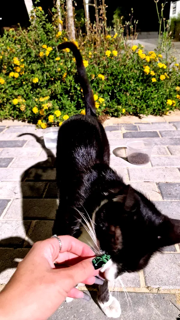 ida.trbl ida.trbl archive image