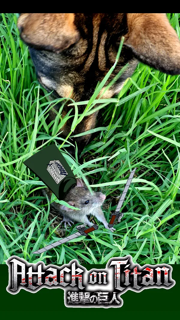 ida.trbl ida.trbl archive image