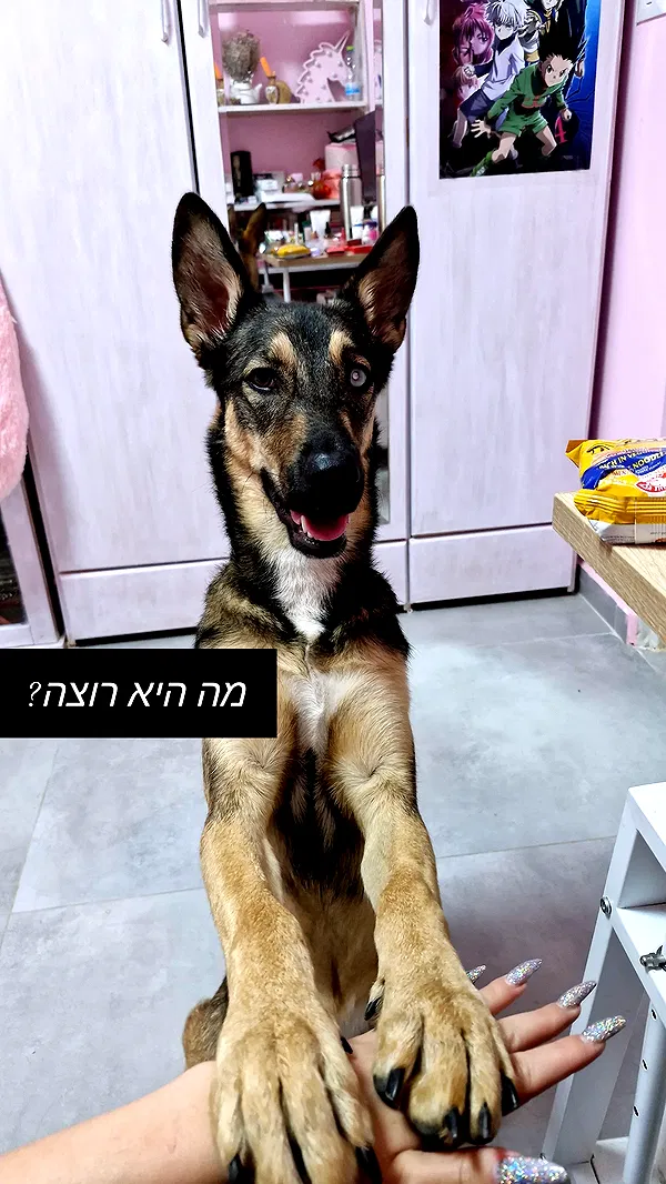 ida.trbl ida.trbl archive image