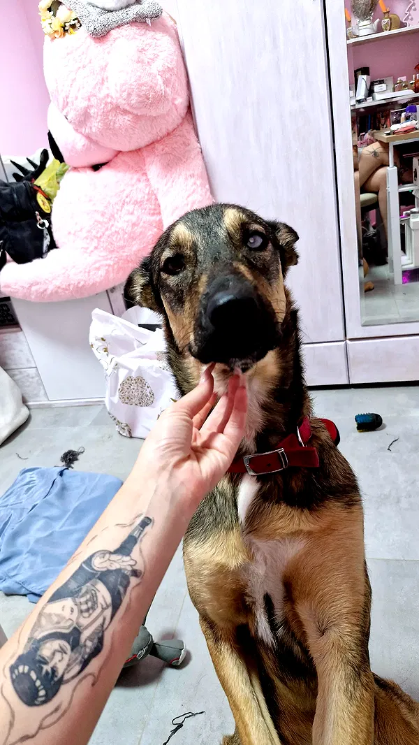 ida.trbl ida.trbl archive image