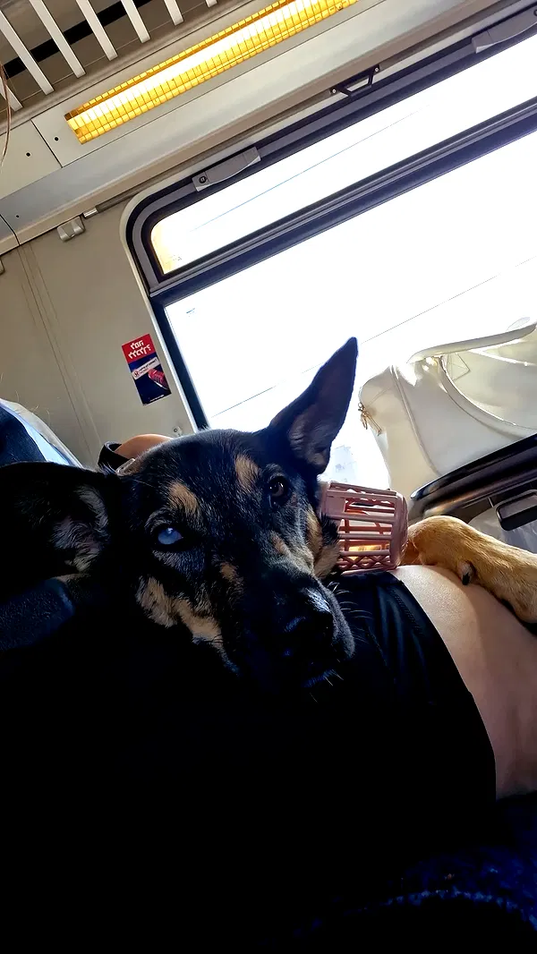 ida.trbl ida.trbl archive image