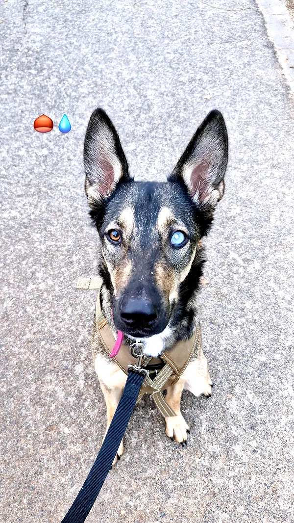 ida.trbl ida.trbl archive image